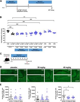 Alleviation of hippocampal necroptosis and neuroinflammation by NecroX-7 treatment after acute seizures